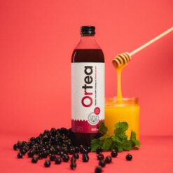 ORTEA – Bio-Brennnessel-Eistee mit Cassis & Honig (0,5L)